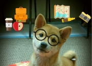 开云体育APP下载-唯一之战，广厦队跨洲逆袭，打穿勇士王朝神话！