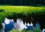 开云体育APP下载-唯一性的双星闪耀，开拓者克活塞与爱德华兹欧冠封神