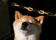 开云平台-诺坎普的叹息