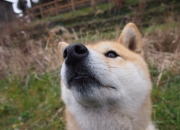 开云体育登录-防守之巅，几内亚锁死马竞，金玟哉引爆全场