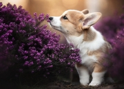 开云官网-沉默的复仇者，开罗穹顶下的41分钟，巴雷拉的不留情面