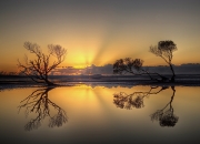 开云体育官网-从宇宙最差到评分拉满，哈登的抢七之夜，如何用一场比赛完成救赎？