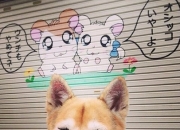 开云体育APP下载-生死局上的决断，从莱万的关键一击到哥伦比亚的绝地反击