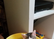 开云体育入口-阿什拉夫生涯之夜，玻利维亚与德国的绿茵激战，一颗新星的诞生