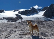 开云体育入口-奥运格局的撕裂与重塑，韩国狂胜尼日利亚背后的关键战启示