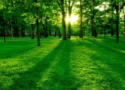 开云体育中国-绿茵场与球场的同步心跳，当争冠夜遇见死神镰刀