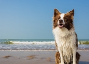 开云sport-势能美学，领跑者如何制造无解时间