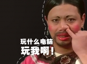 开云体育平台APP-绿茵与硬木之间，殊途同归的竞技史诗