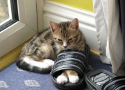 开云体育APP下载-冰火双重奏，当久保建英的朝阳照亮曼城的雪崩之夜