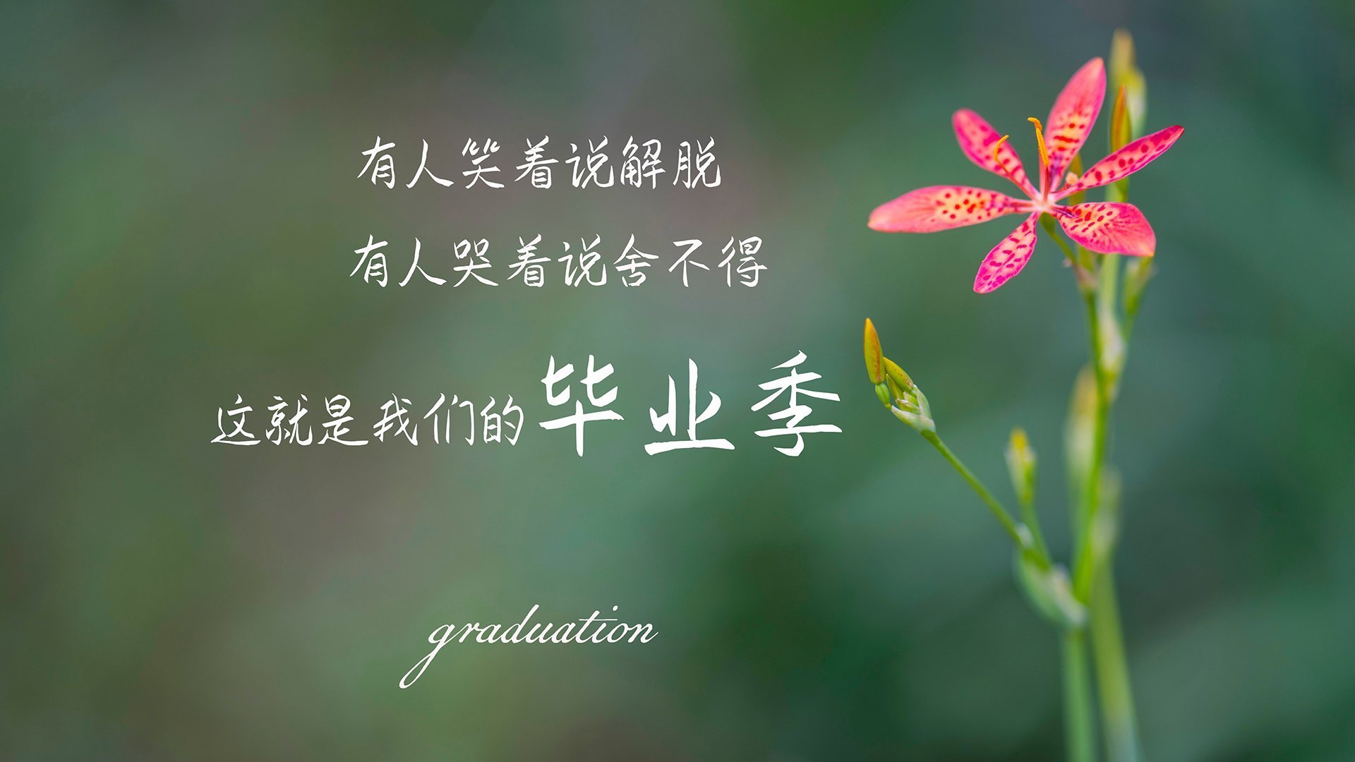 龙火传承，从北境新王到希腊怪物，总决赛舞台的权杖交接