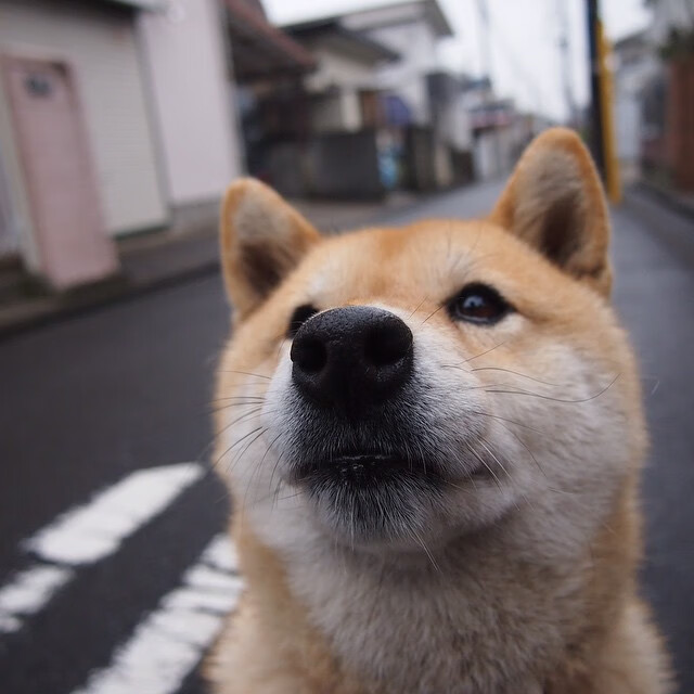 三度领先，一度绝望，京多安导演曼城欧冠夜的诗意逆转