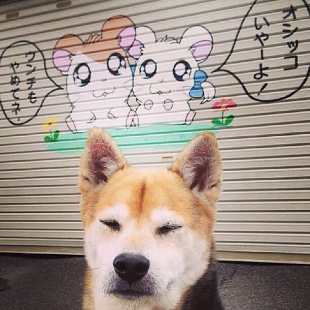 生死局上的决断，从莱万的关键一击到哥伦比亚的绝地反击