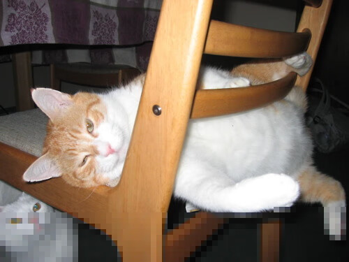 阿坎吉爆发，从拉齐奥巅峰对决汲取灵感，瑞士力克几内亚