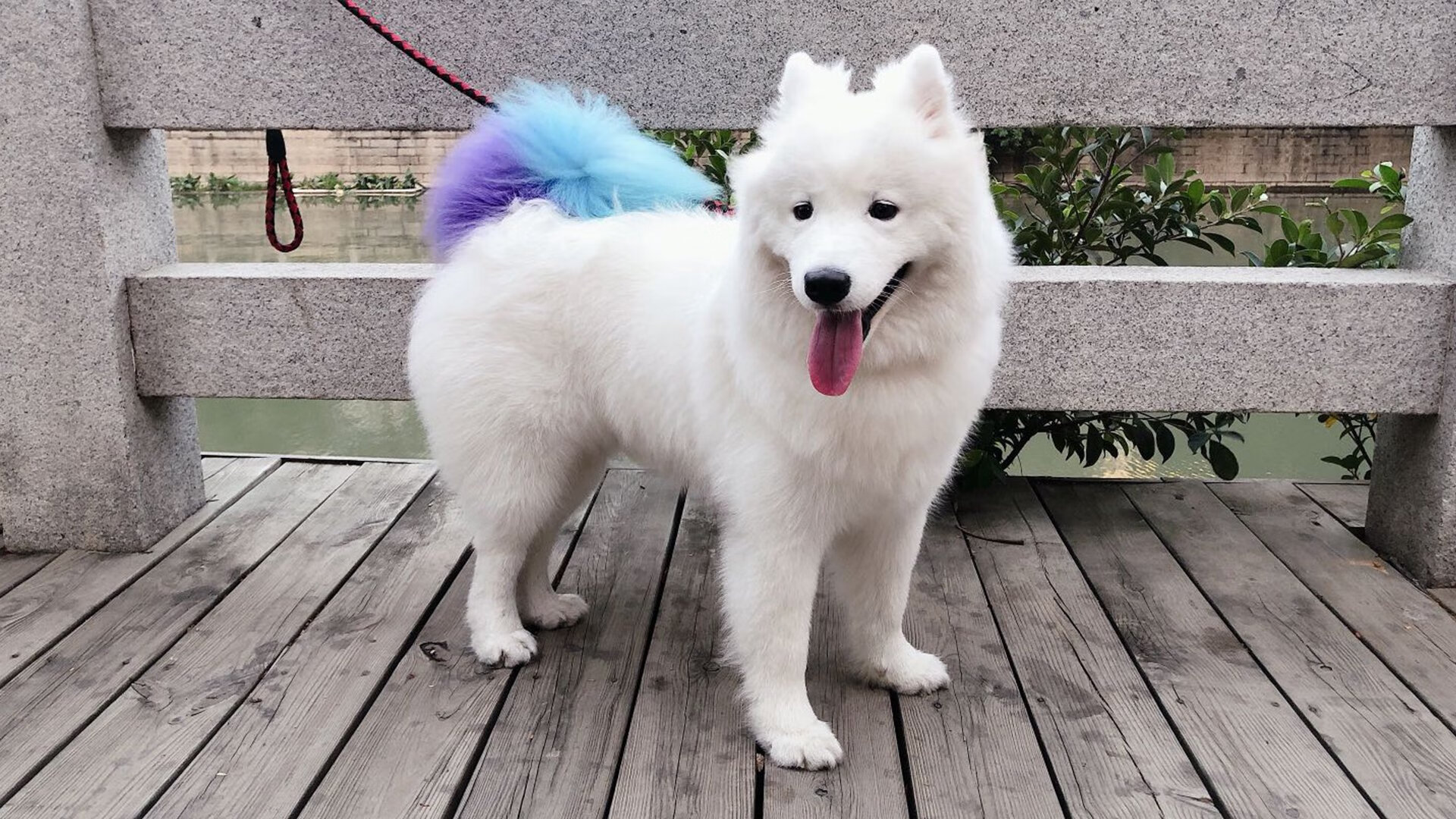 安哥拉铁血防线创造历史奇迹,马丁内利冰封英格兰攻势