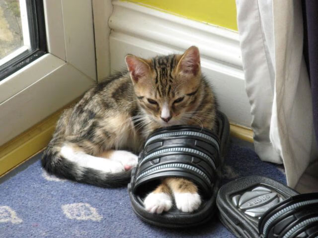 冰火双重奏，当久保建英的朝阳照亮曼城的雪崩之夜