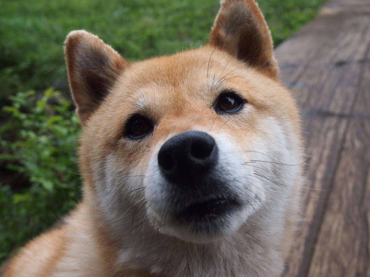 从冷雨到传奇，拉亚单手劈开莱比锡，卡塔尔风暴撕裂红牛