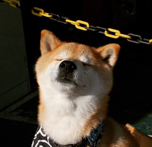 铁骑纵横金字塔，当英格兰的精密机器遭遇莱万的权力游戏