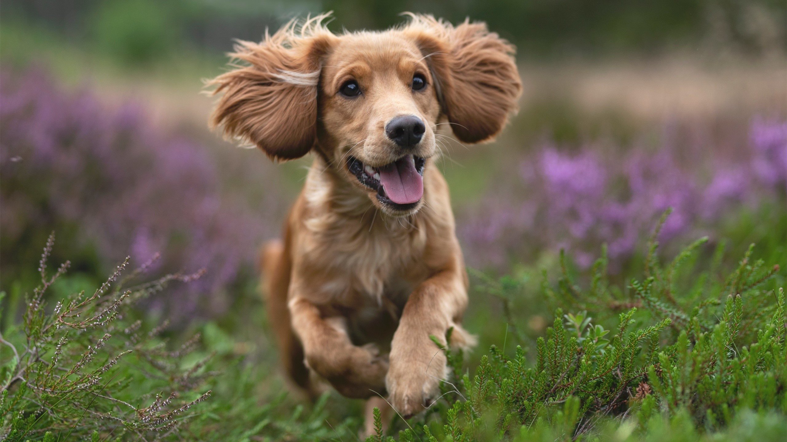 波兰铁骑的马德里攻坚战，黄喜灿闪电刺穿床单军团心脏