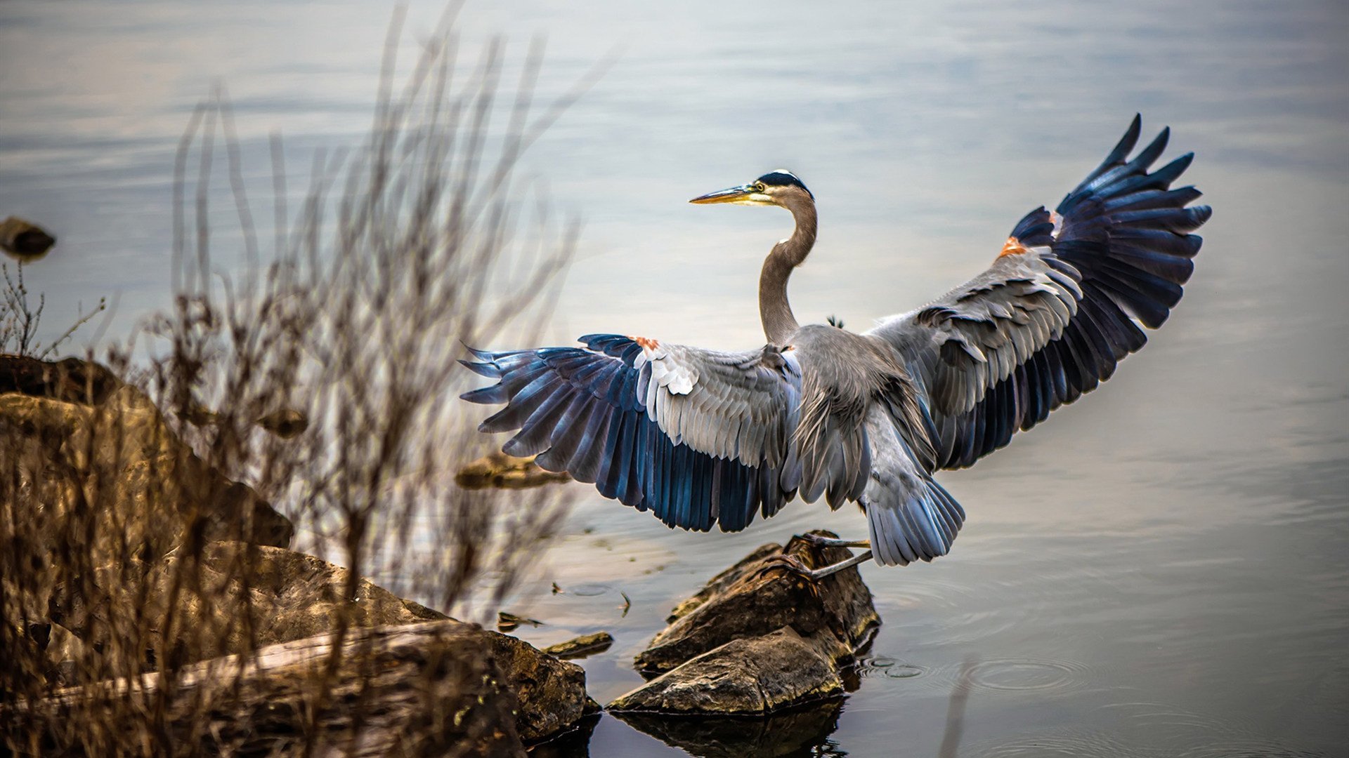 爆发时刻，瞬间艺术如何决定足球历史